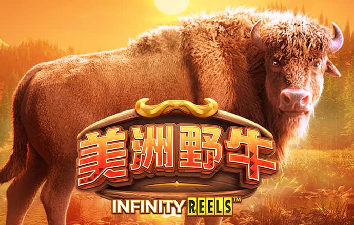中欧体育网页登入入口下载